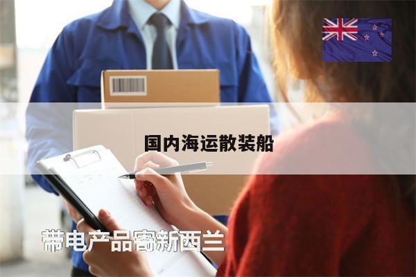 国内海运散装船