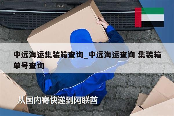 中远海运集装箱查询_中远海运查询 集装箱单号查询