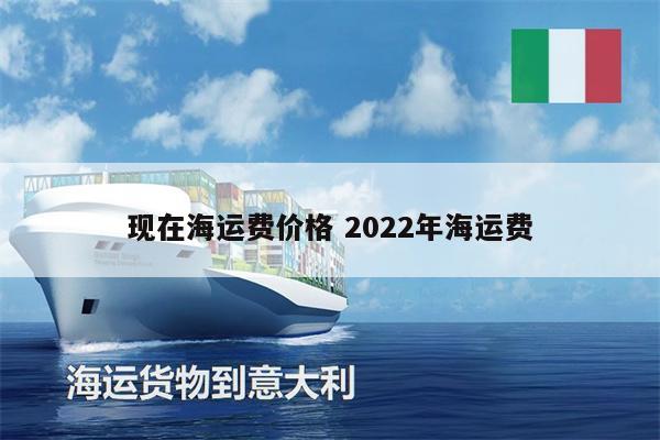 现在海运费价格 2022年海运费