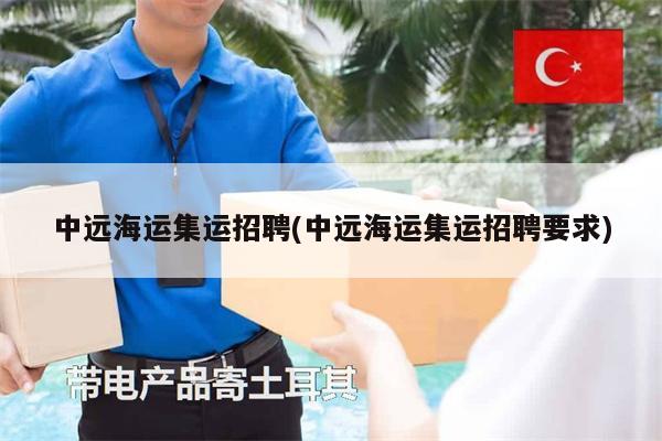 中远海运集运招聘(中远海运集运招聘要求)