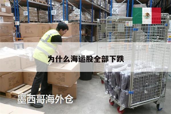 为什么海运股全部下跌