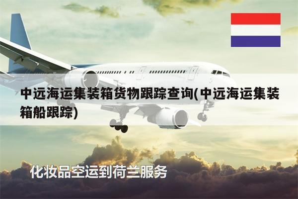中远海运集装箱货物跟踪查询(中远海运集装箱船跟踪)
