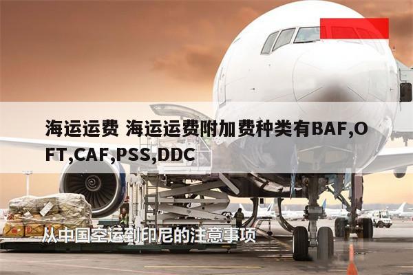 海运运费 海运运费附加费种类有BAF,OFT,CAF,PSS,DDC