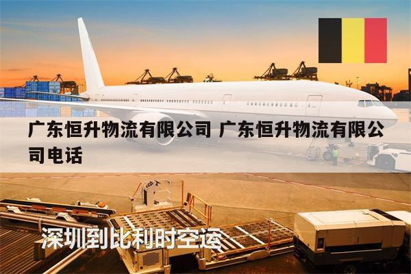 广东恒升物流有限公司 广东恒升物流有限公司电话