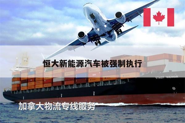 恒大新能源汽车被强制执行